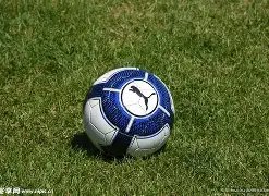 开云平台网,站切尔西的,赞助商,开云体育,开云体育官网,开云体育app,开云体育平台,KAIYUN,SPORTS,kaiyun登录入口