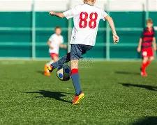 郑后成预测,年中国外汇,储备有望在,开云体育,开云体育官网,开云体育app,开云体育平台,KAIYUN,SPORTS,kaiyun登录入口