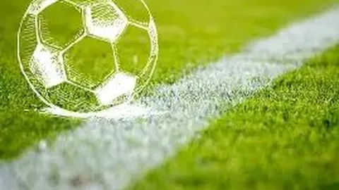 开云平台网站切尔西的赞助商 产品 084306 sri