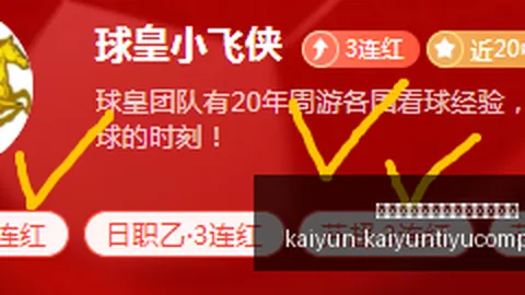开云平台网站切尔西的赞助商 134319