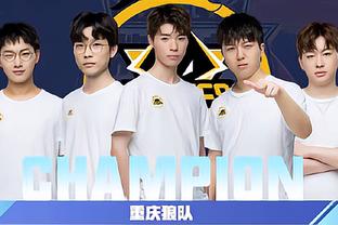 对手的战略